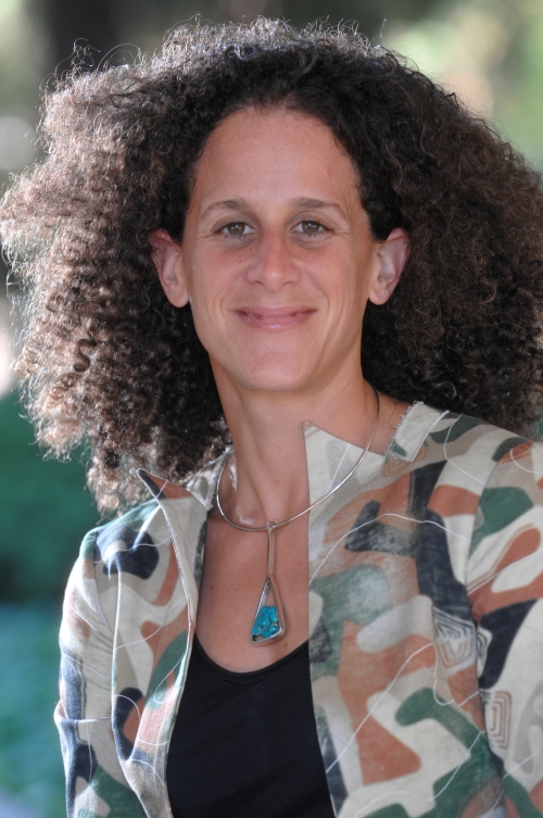 Prof. Sarah Stein of UCLA.