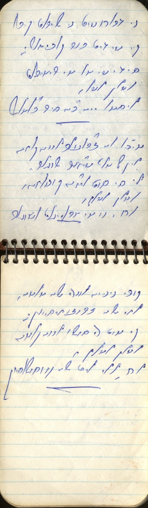 Notes in Soletreo in Levy's notebook
