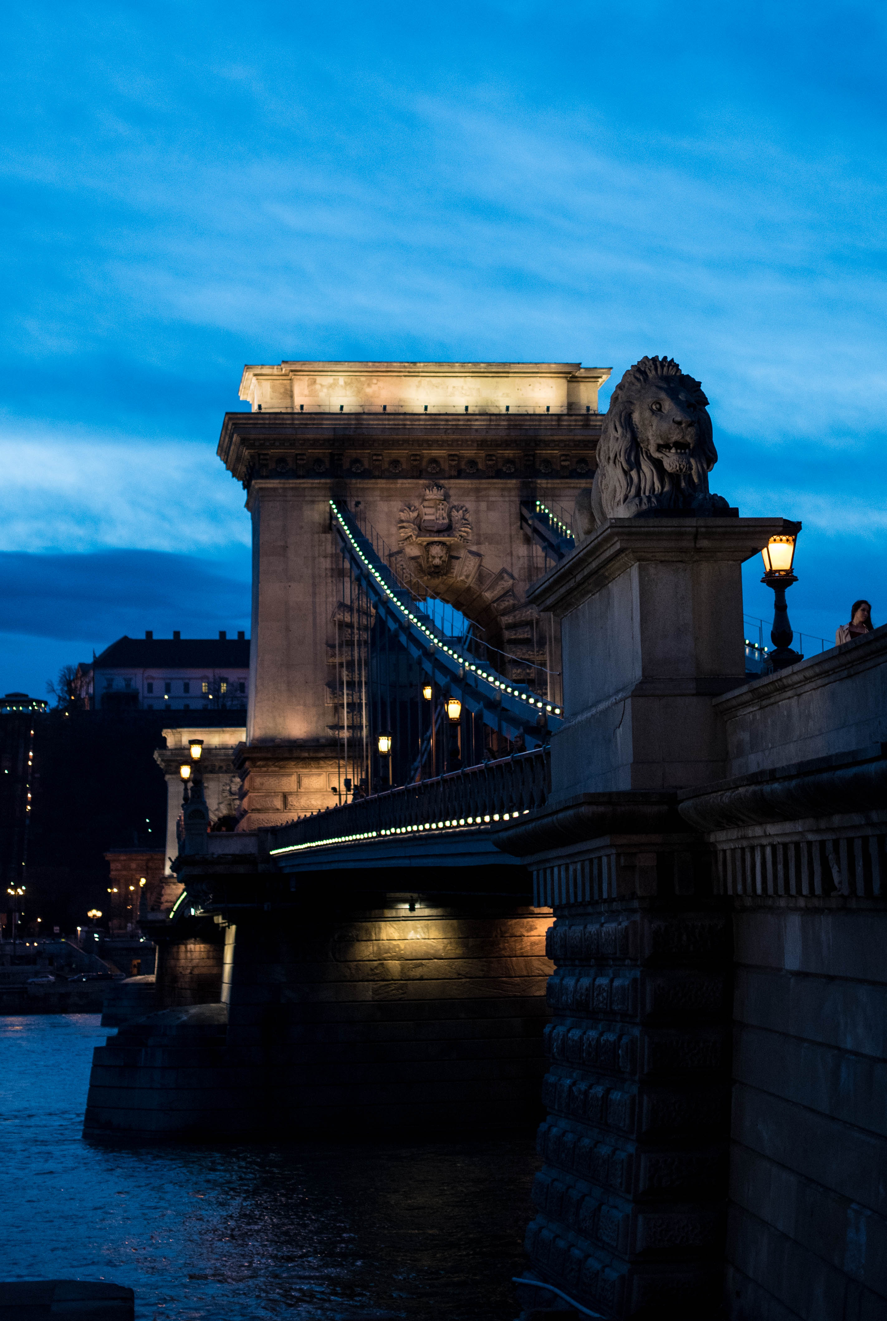 budapest-bridge-by-kaia-dalbora