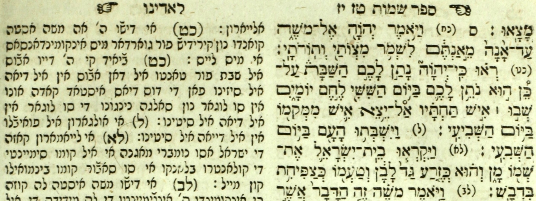 A Hebrew and Ladino edition of the Torah published in Vienna, 1813. 