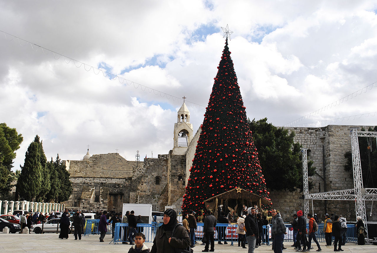 A Christmas tree in Bethlehem 