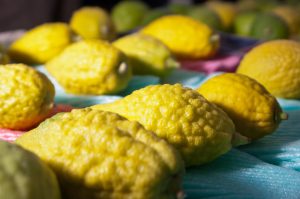 Yellow etrog fruit