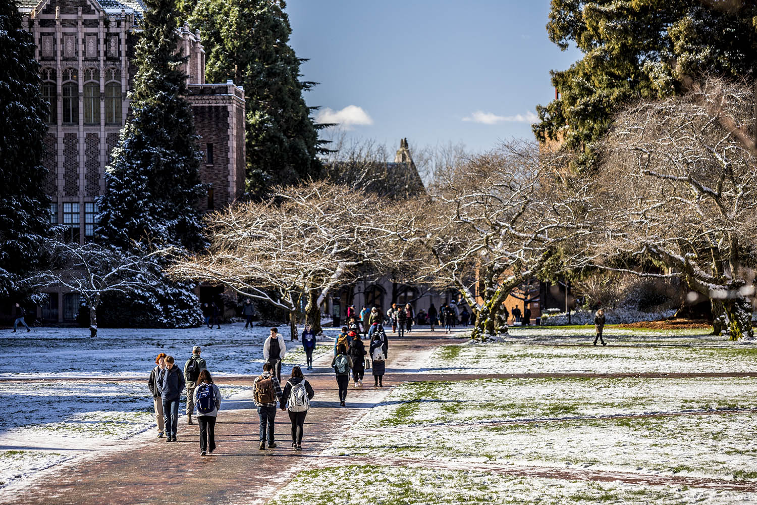 A snowy field on a sunny day on the University
