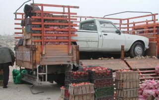 A white truck sitting in an open trailer, with stacked crates of apples on the side