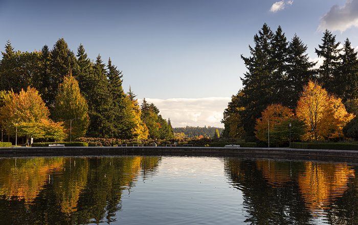 Photo showing pool and trees in autumn at the University of Washington