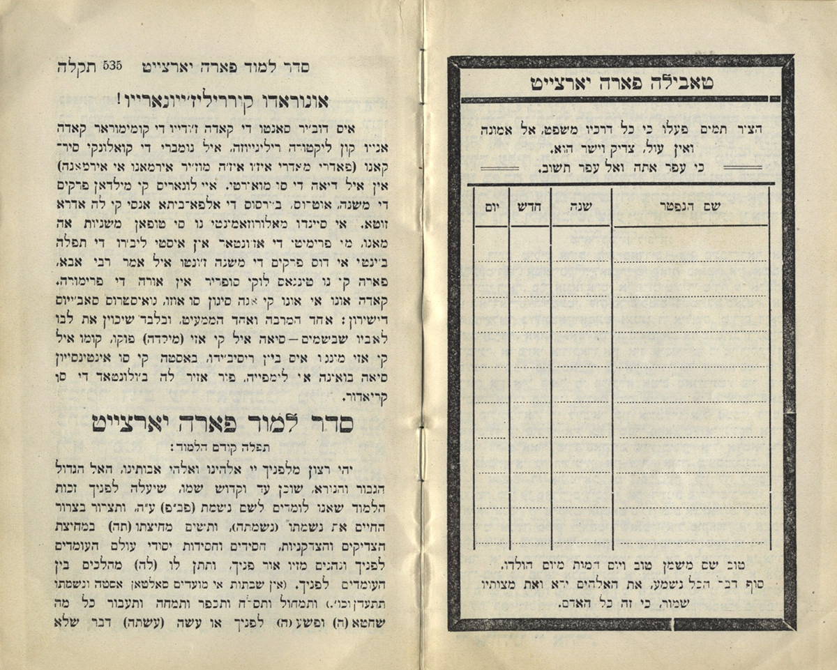 Printed chart with rows, columns and spaces to write in dates with text on opposite page